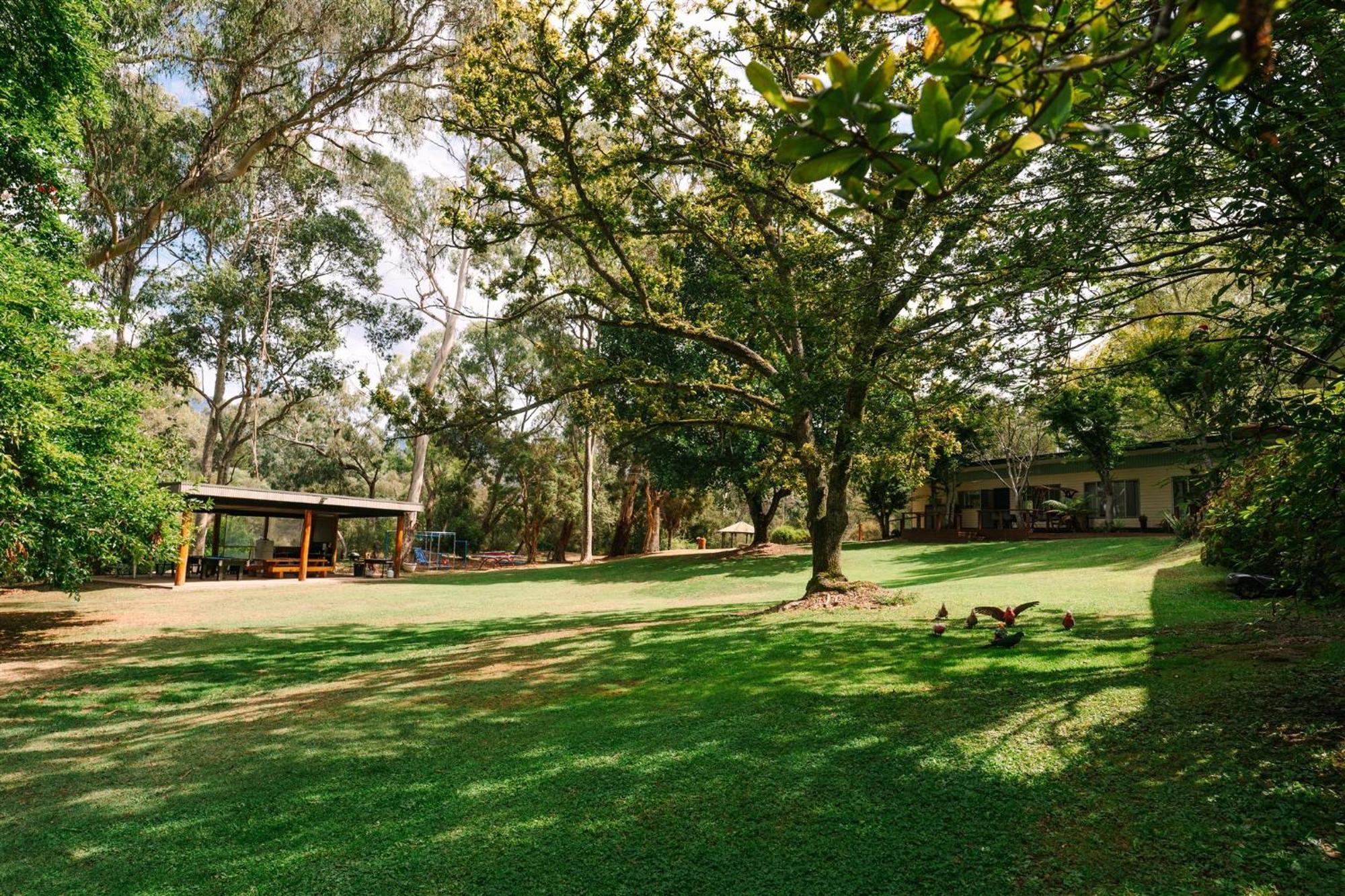 Alpine Riverside Cottages Porepunkah Dış mekan fotoğraf