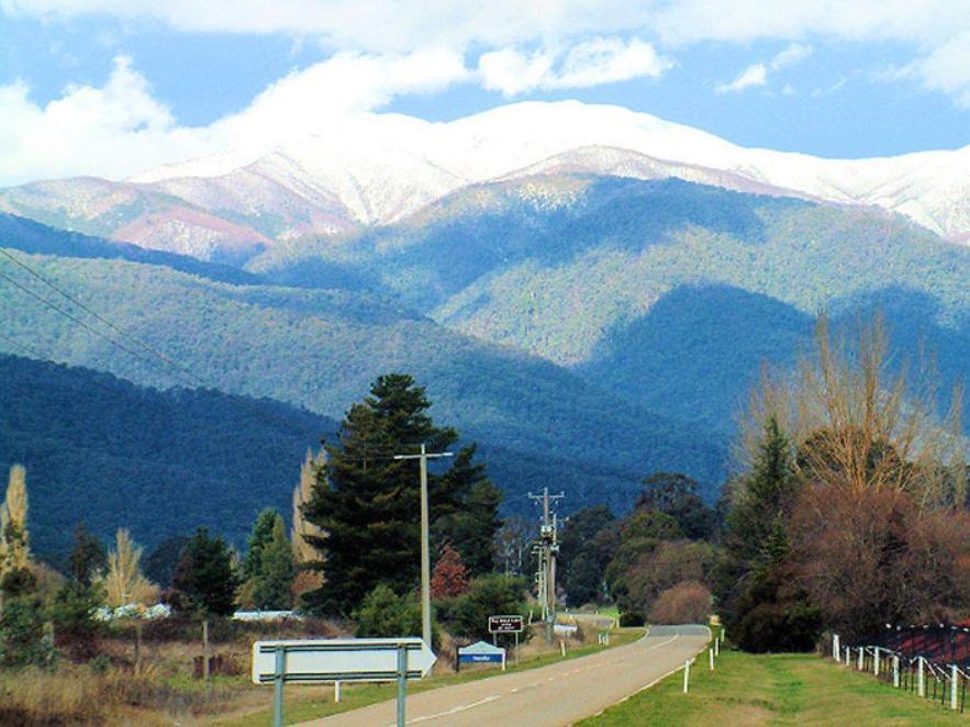 Alpine Riverside Cottages Porepunkah Dış mekan fotoğraf